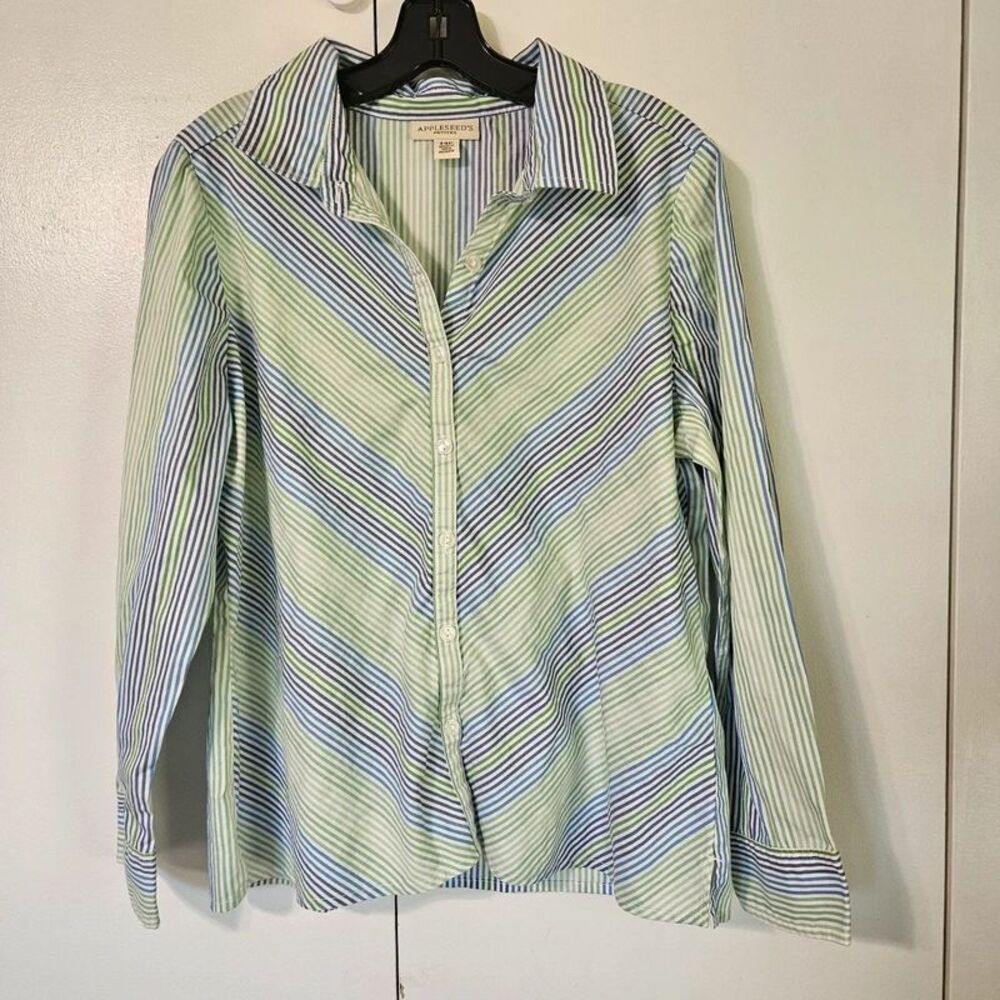 Appleseeds green, white, blue striped button up shirt 14 Petite